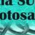 Formatia SUCCES Botosani Live 03 03 2012 Oprisanu Daniel Partea Nr12 Video Nou 0747200203
