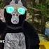 A Green Screen Gorillatag Vr Subscribe