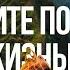 Кисса Хайфи умри одами