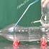 Smart Eternal Flowing Water Without Electricity Using Plastic Bottles