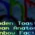 Wooden Toaster Rainbow Factory Daydream Anatomy 2016 RMX