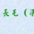 長毛 梁國雄 主講 眾多議員被DQ是必然還是偶然