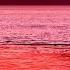 The Best Of Buddha Bar Relaxation Meditation Sessions Summer 2018