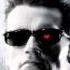 Terminator 2 Suite