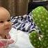 Angelina Girl дети доченька малыш карапуз Baby кактус танцы Dance Kids Cactus