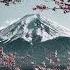 The Path Of The Samurai Embrace Purpose Strength Growth Motivational Speech