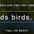 Натуральный звук птиц звуки реки Nature Sounds Birds Sound River