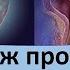 Как можно самому сделать массаж простаты правила техники Dr Urolog