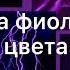 Эстетика фиолетового цвета