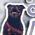My Staffy Had A Mast Cell Tumor Cancer Free Dog Park Pit Bull Party