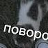 Самая клёвая тёлка в школе пм топ кто тоже так считает с вас лайк рек