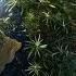 Wiz Khalifa My Influence Feat Juicy J Official Audio