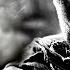 Call Of Duty Black Ops 2 Suffer With Me Campaign NO COMMENTARY