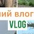 14 Vlog выходные в Сочи красная поляна мост над пропастью Сочи парк парк слонов и ТЦ