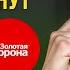 Как перевести деньги за границу в 2025 Золотая Корона Юнистрим СБП