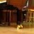 Robert Schumann Dichterliebe Шуман Любовь поэта вокальный цикл н