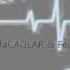 DJ MustafaCAGLAR Feat Samet Alemdar Feed Me Blood Red REMİX