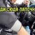 Тамаев ИДИ СЮДА ПАПОЧКА Cls 1000hp тамаев Wengalbi