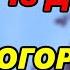 СРОЧНО ПРОЧТИ ПРЯМО СЕЙЧАС И ПРОСИ ЗДОРОВЬЯ СЕБЕ И БЛИЗКИМ Сильная Молитва Богородице