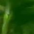 Valerie Star Flash In The Night 2017 Ext Magic Mix By Marc Eliow HD