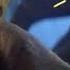 Yoda Vs R2 D2 Light Saber Duel Star Wars