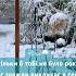 Перший сніг Music Snow