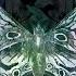 Butterfly Bleu