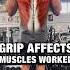Different Pull Up Variations