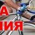 ПДД для велосипедистов новичков самые нужные моменты