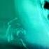 Armin Van Buuren Set 2 Live A State Of Trance 2025 Ahoy Rotterdam 21 02 2025