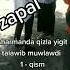 ZAPAL YOSH QIZ VA BOLA NIMA QILDI Shorts Zapal