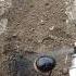 RABBIT MOM You Can T Guess How Many To Go In Videos Cute Moment You Never Know Before Yt 625