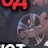 НАЛОГОВЫЙ БУТЕРБРОД ПЛАТА ЗА СОЛНЦЕ НАЛОГ НА ШУМ НА ТЕНЬ НА ВОЗДУХ