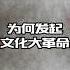 中国为什么会发起文化大革命 历史 中国历史 近代史 文化大革命 文革 政治 历史解说 历史那些事