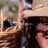 Areni 2016 Web