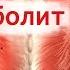 ПРИЧИНЫ БОЛЕЙ В СПИНЕ БОЛИТ СПИНА ЧТО ДЕЛАТЬ
