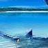 Kawtar Oudhiri Ya Lalali Marcus Dielen Remix Mix 02 8kMusic