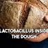This Isn T Just Bread It S A Microbiome Miracle