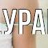 Дурак А П Чехов