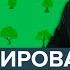Как сортировать мусор в России Как разделять мусор Подробная и простая инструкция
