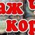 Паж Черной королевы Аудиосказка Дмитрий Суслин Страна Остановленного времени 4
