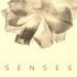 Mindscape