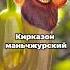 Жемчужина Дальнего Востока кирказон маньчжурский Shorts растения семена цветы лиана