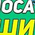 ФОКУС Для СНОСА КРЫШИ Зрителю за 30 Секунд Простые Фокусы с Картами для Начинающих Magictricks