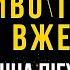 Диво тут і вже Магічна пігулка від усього Майстер Овен Стефан