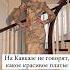 Признавайтесь было кавказ