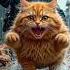 CAT ARRESTED For GRAND FISH THEFT Cat Funny Foryou Catshorts Cute Emotional
