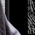 Der Effekt Feat TYGR TYGR Oblivion Original Mix ICONYC