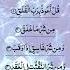 Surah AL FALAQ Egzon Ibrahimi Quranrecition Qurantilawat Egzonibrahimi Shorts Shortvideo