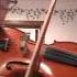 Bach Sonata 1 BWV 1001 Presto